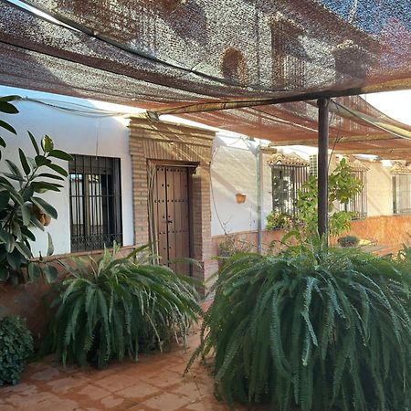 Casa Rural Antikaria Antequera Dış mekan fotoğraf